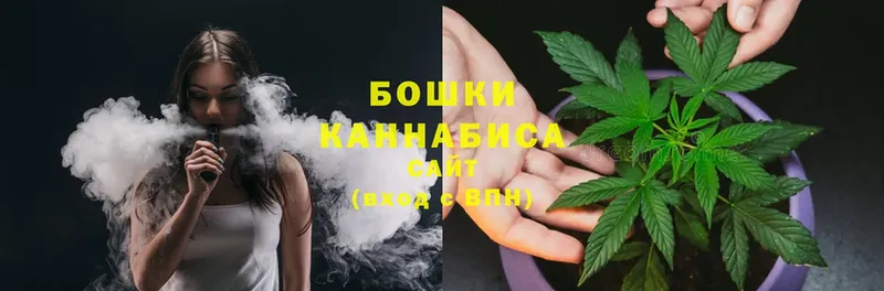 что такое   Великий Устюг  Марихуана SATIVA & INDICA 